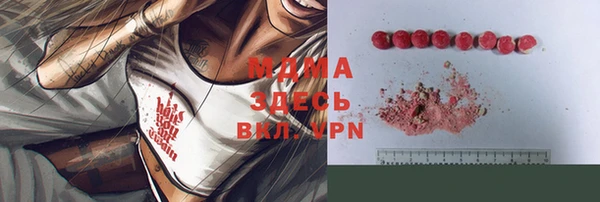 индика Белокуриха
