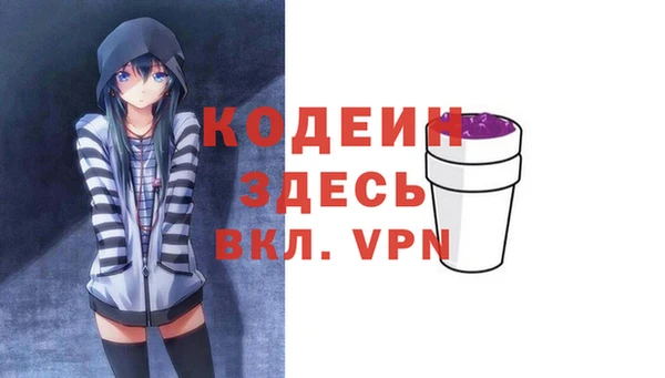 индика Белокуриха