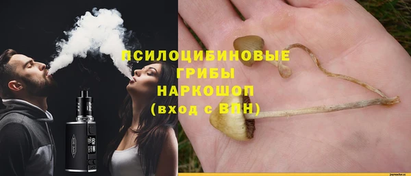 индика Белокуриха