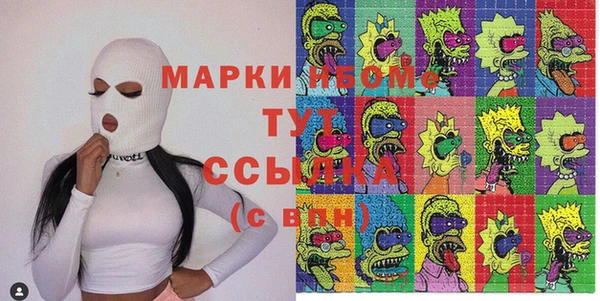 индика Белокуриха