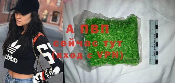 индика Белокуриха