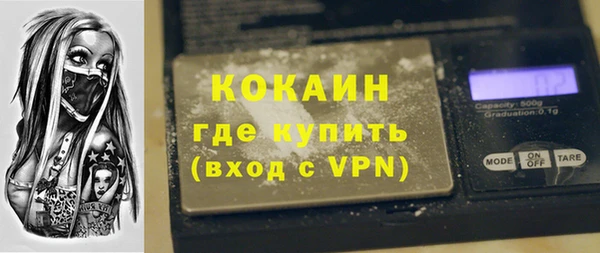 индика Белокуриха